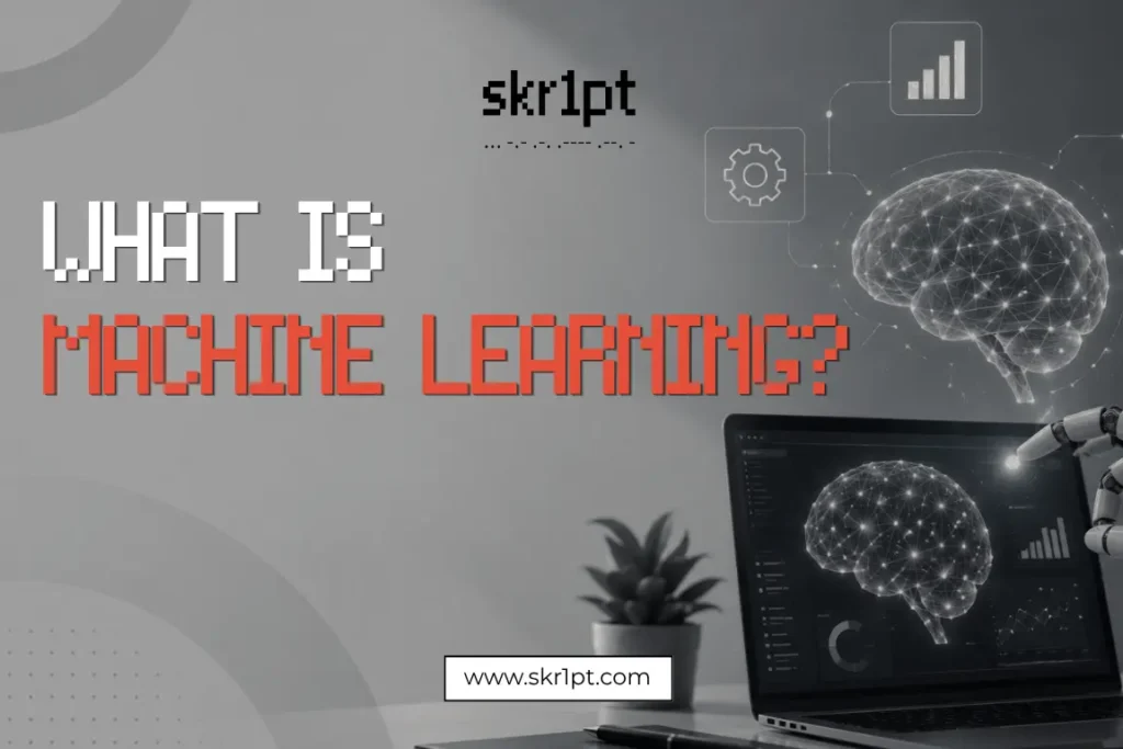 How does machine learning work